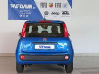 Neu Fiat Panda Urban 69 PS (50 kW) 2025 Blau Limousine