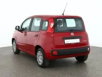 Neu Fiat Panda Connect 70 PS (51 kW) 2025 Passionredmet. Kleinwagen