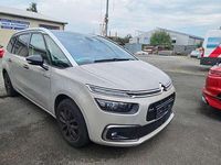 Gebraucht Citroën C4 Rip Curl 131 PS (96 kW) 2019 Lackierung sable/metallic klar Van / Kleinbus