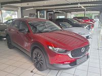 Gebraucht Mazda CX-30 Homura-Line 140 PS (102 kW) 2025 SUV