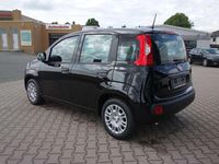 Gebraucht Fiat Panda 69 PS (50 kW) 2025 Cinema schwarz Kleinwagen