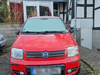 gebraucht Fiat Panda 4x4 1.2 8V Climbing