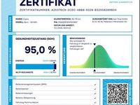 Gebraucht Cupra Born 150 kW (204 PS) 2022 Grau Kleinwagen