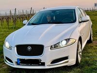 Gebraucht Jaguar XF 200 PS (147 kW) 2011 Weiß Limousine