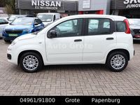 Neu Fiat Panda 69 PS (50 kW) 2025 Weiß Kleinwagen