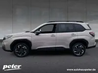 Gebraucht Subaru Forester Active 136 PS (100 kW) 2026 Cashmere gold opal SUV