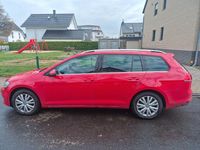 Gebraucht VW Golf VII Highline 125 PS (91 kW) 2017 Rot Kombi