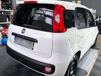 Gebraucht Fiat Panda Lounge 69 PS (50 kW) 2017 Weiß Kleinwagen