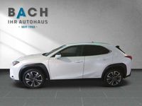 gebraucht Lexus UX UX 250h250h