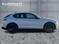 Neu Alfa Romeo Stelvio Veloce 209 PS (153 kW) 2025 Grau SUV