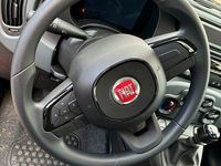 Neu Fiat Panda 69 PS (50 kW) 2025 Rot Kleinwagen