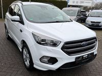 Gebraucht Ford Kuga ST-Line 150 PS (110 kW) 2019 Weiß SUV