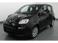 Gebraucht Fiat Panda 51 PS (37 kW) 2022 Schwarz Kleinwagen
