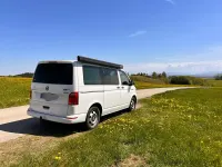 Second-hand VW T6 150 CP (110 kW) 2018 Alb Van