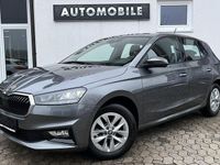 Gebraucht Skoda Fabia Selection 116 PS (85 kW) 2025 Graphitegrau metallic Kleinwagen