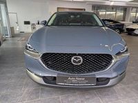 Gebraucht Mazda CX-30 Selection 186 PS (136 kW) 2021 Grau SUV