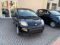 gebraucht Fiat Panda Radio USB KLIMA