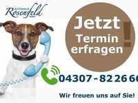 Gebraucht BMW 320 M Sport 190 PS (139 kW) 2020 Schwarz metallic Kombi