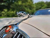 Gebraucht Jaguar MK II 120 PS (88 kW) 1968 Weiß Limousine