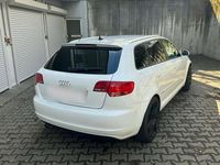 Gebraucht Audi A3 S-line plus 170 PS (125 kW) 2009 Weiß Kleinwagen