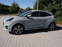Neu Ford Puma ST-Line 125 PS (91 kW) 2025 Cactus grau SUV
