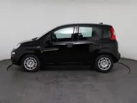 Neu Fiat Panda Icon 65 PS (47 kW) 2026 Schwarz, nero cinema Kleinwagen