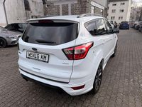 Gebraucht Ford Kuga ST-Line 150 PS (110 kW) 2018 Weiß SUV