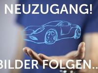 Neu Skoda Kamiq Monte Carlo 150 PS (110 kW) 2025 Grau SUV