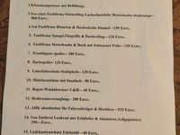 Gebraucht Dacia Spring Comfort Plus 33 kW (45 PS) 2022 Weiß Kleinwagen