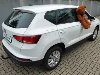 Gebraucht Seat Ateca Reference 116 PS (85 kW) 2019 Weiß SUV