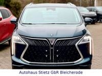 Neu DFSK Forthing 4 286 PS (210 kW) 2025 Grün Van / Kleinbus