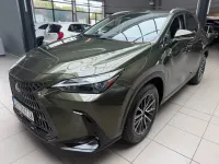 Gebraucht Lexus NX450h+ Executive Line 309 PS (227 kW) 2021 Grün SUV