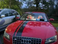 Gebraucht Audi A5 S-Line 170 PS (125 kW) 2010 Rot Coupé