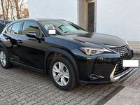 Gebraucht Lexus UX 250h Executive Line 152 PS (111 kW) 2022 Grau SUV