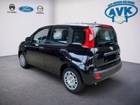 Neu Fiat Panda Icon 69 PS (50 kW) 2025 Colore esterno (cinema schwarz Kleinwagen