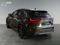 Gebraucht Lexus NX350h Luxury Line 243 PS (178 kW) 2023 Other Cabrio