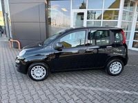 Neu Fiat Panda Icon 65 PS (47 kW) 2026 Schwarz Kleinwagen