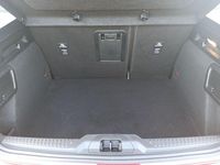 Gebraucht Ford Focus Active X 155 PS (114 kW) 2025 Fantastic red metall