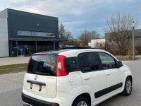 Gebraucht Fiat Panda 86 PS (63 kW) 2013 Weiß Kleinwagen