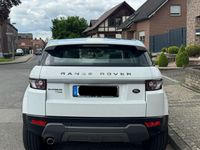 gebraucht Land Rover Range Rover evoque 2.2 TD4 Pure Pure