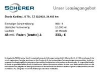 Gebraucht Skoda Kodiaq 150 PS (110 kW) 2023 Lavablau metallic SUV