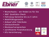 Gebraucht Subaru XV Active 150 PS (110 kW) 2020 Rot SUV