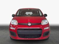 Neu Fiat Panda Icon 65 PS (47 kW) 2026 Rot Kleinwagen