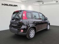Gebraucht Fiat Panda 69 PS (50 kW) 2024 Schwarz Limousine
