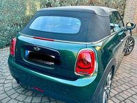 Gebraucht Mini Cooper Cabriolet 136 PS (100 kW) 2017 Cabrio
