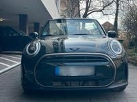 Gebraucht Mini Cooper Cabriolet 136 PS (100 kW) 2023 Andere farben Cabrio