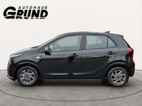 Neu Kia Picanto Vision 68 PS (50 kW) 2026 Clear white Kleinwagen