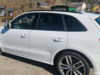 Gebraucht Audi SQ5 313 PS (230 kW) 2015 Weiß SUV