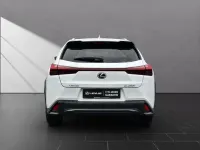 Begagnad Lexus UX 184 HK (135 kW) 2023 Vit SUV