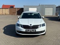 Gebraucht Skoda Octavia Drive 116 PS (85 kW) 2017 Weiß Kombi